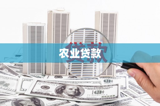 山上农业贷款