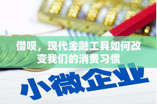 山上借呗，现代金融工具如何改变我们的消费习惯