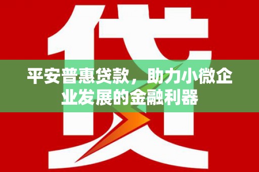 山上平安普惠贷款，助力小微企业发展的金融利器