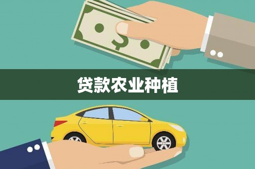 山上贷款农业种植