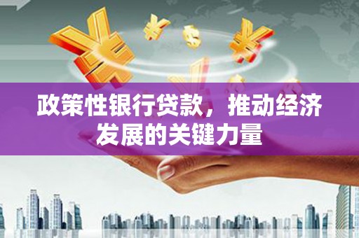 山上政策性银行贷款，推动经济发展的关键力量