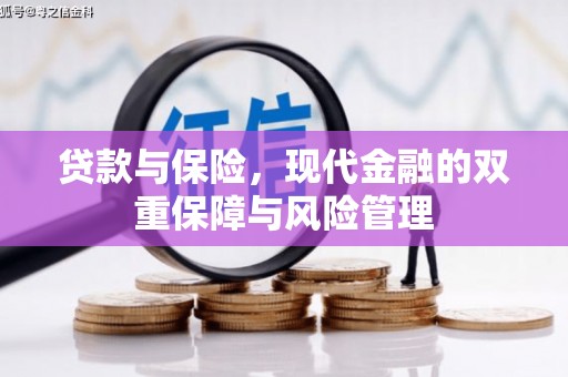 山上贷款与保险，现代金融的双重保障与风险管理