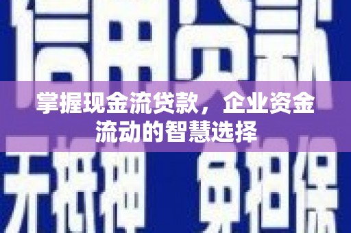 山上掌握现金流贷款，企业资金流动的智慧选择