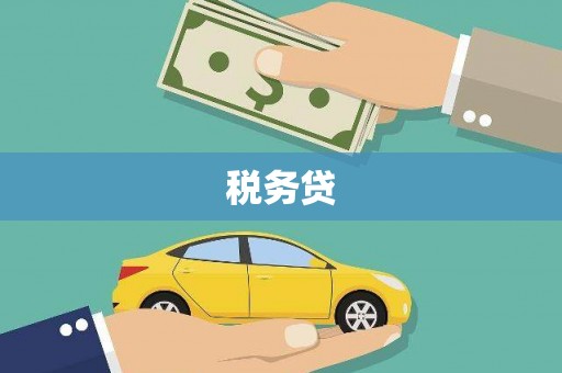 山上税务贷
