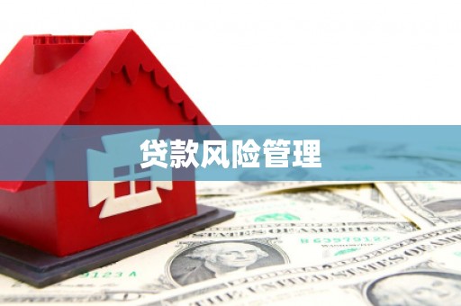 山上贷款风险管理