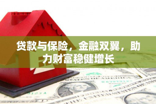 山上贷款与保险，金融双翼，助力财富稳健增长