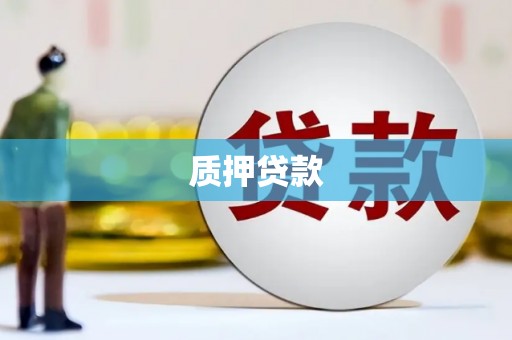 山上质押贷款