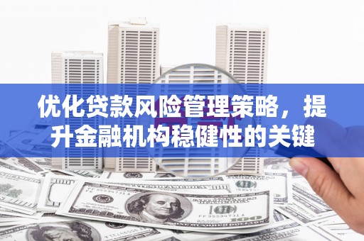 山上优化贷款风险管理策略，提升金融机构稳健性的关键