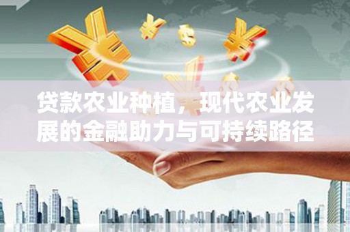 山上贷款农业种植，现代农业发展的金融助力与可持续路径