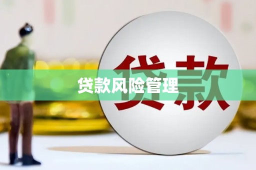 山上贷款风险管理
