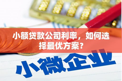 山上小额贷款公司利率，如何选择最优方案？