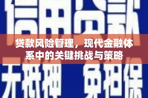 山上贷款风险管理，现代金融体系中的关键挑战与策略