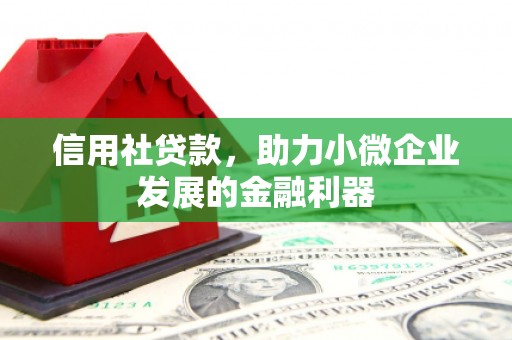 山上信用社贷款，助力小微企业发展的金融利器