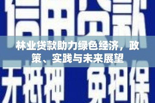 山上林业贷款助力绿色经济，政策、实践与未来展望