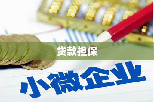 山上贷款担保