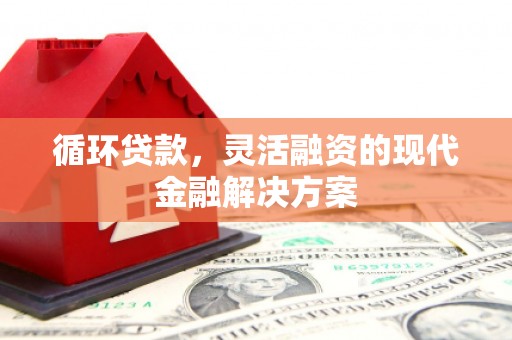 山上循环贷款，灵活融资的现代金融解决方案