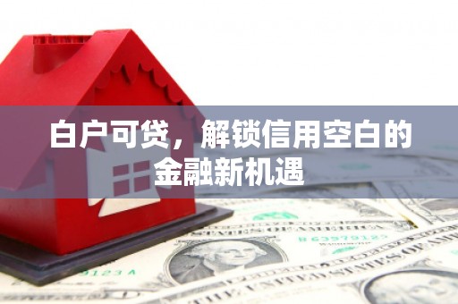 山上白户可贷，解锁信用空白的金融新机遇
