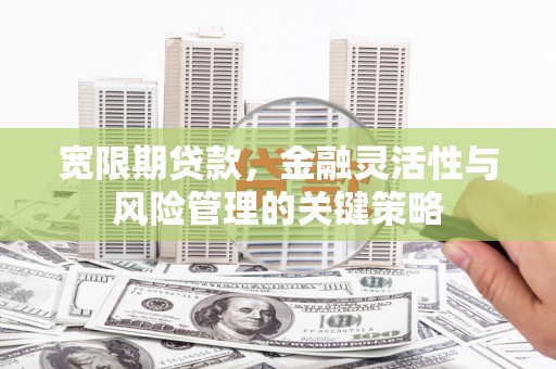 山上宽限期贷款，金融灵活性与风险管理的关键策略