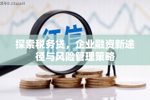 山上探索税务贷，企业融资新途径与风险管理策略