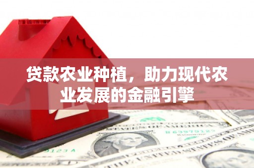 山上贷款农业种植，助力现代农业发展的金融引擎
