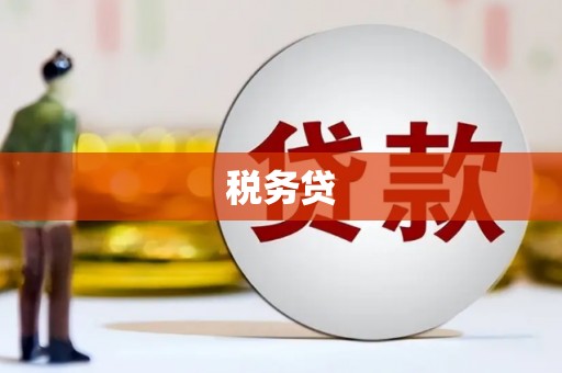 山上税务贷