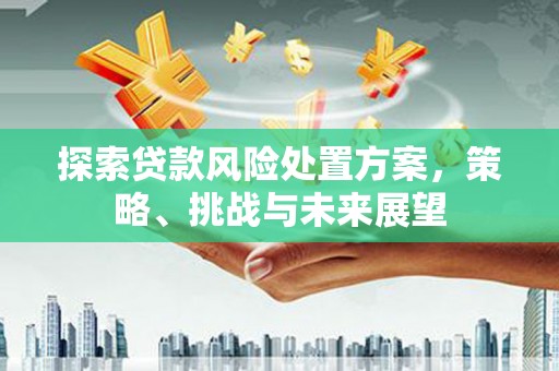山上探索贷款风险处置方案，策略、挑战与未来展望