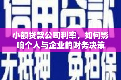 山上小额贷款公司利率，如何影响个人与企业的财务决策