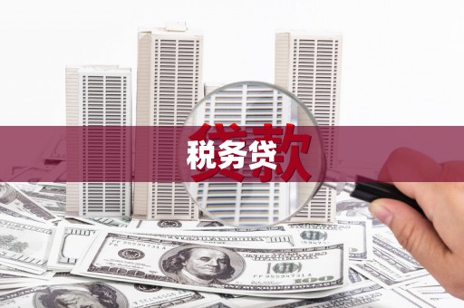 山上税务贷