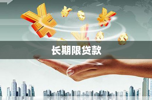 山上长期限贷款