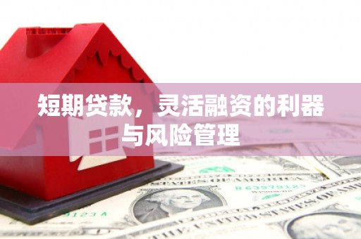 山上短期贷款，灵活融资的利器与风险管理