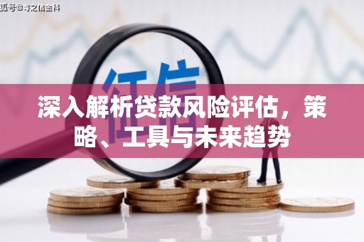 山上深入解析贷款风险评估，策略、工具与未来趋势