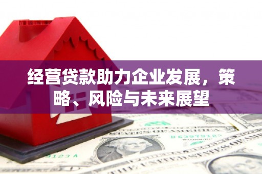 山上经营贷款助力企业发展，策略、风险与未来展望