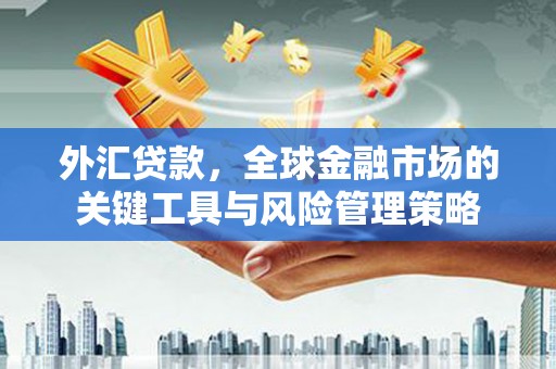 山上外汇贷款，全球金融市场的关键工具与风险管理策略