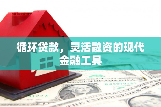 山上循环贷款，灵活融资的现代金融工具