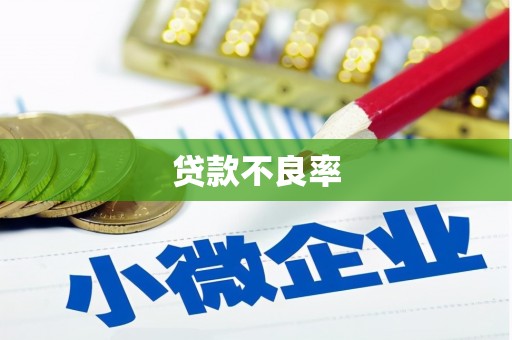 山上贷款不良率