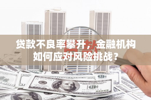 山上贷款不良率攀升，金融机构如何应对风险挑战？