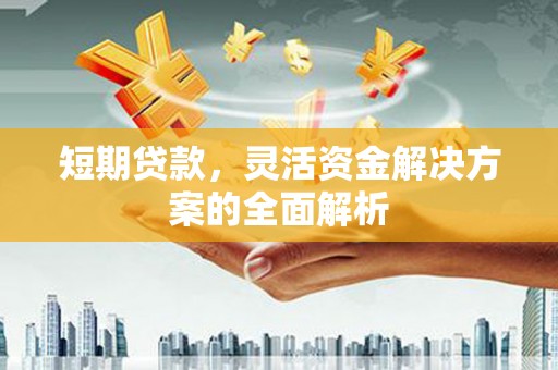 山上短期贷款，灵活资金解决方案的全面解析