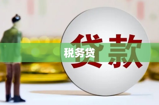 山上税务贷