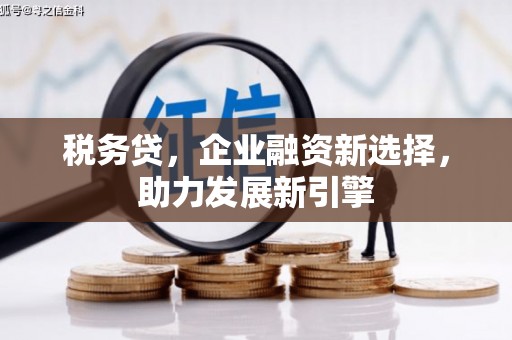 山上税务贷，企业融资新选择，助力发展新引擎