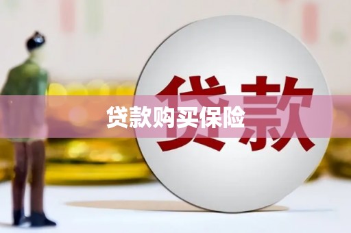 山上贷款购买保险