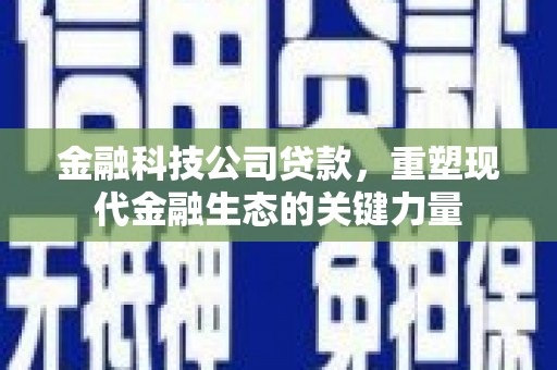 山上金融科技公司贷款，重塑现代金融生态的关键力量