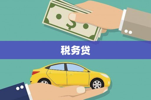 山上税务贷