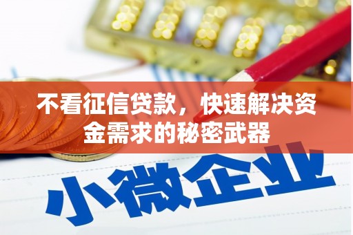 山上不看征信贷款，快速解决资金需求的秘密武器
