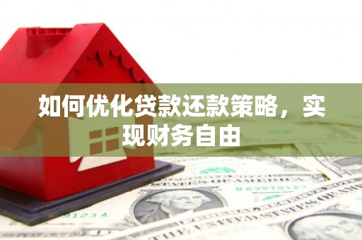 山上如何优化贷款还款策略，实现财务自由