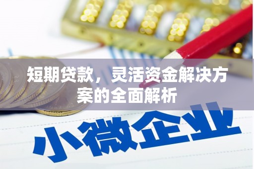 山上短期贷款，灵活资金解决方案的全面解析