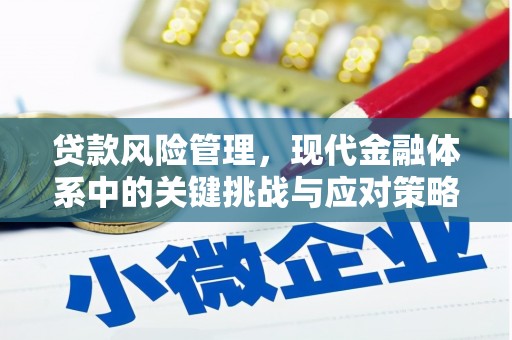 山上贷款风险管理，现代金融体系中的关键挑战与应对策略