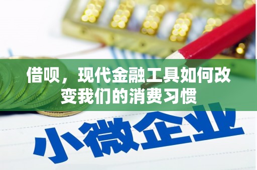 山上借呗，现代金融工具如何改变我们的消费习惯