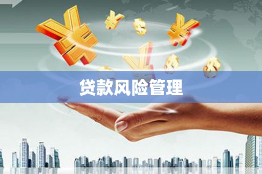 山上贷款风险管理