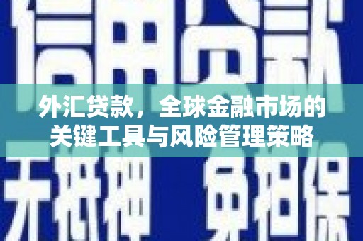 山上外汇贷款，全球金融市场的关键工具与风险管理策略
