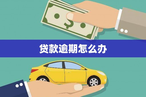 山上贷款逾期怎么办
